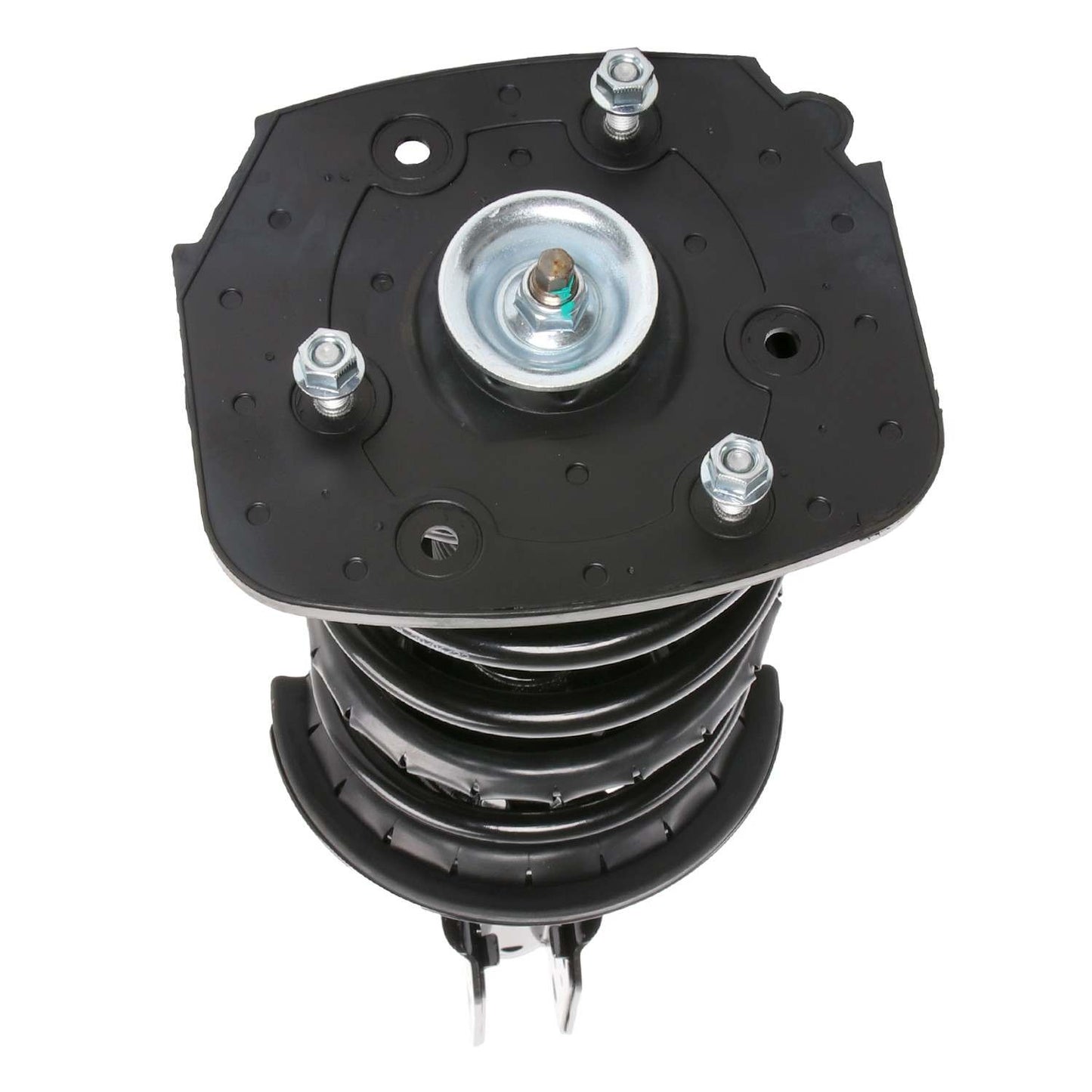PRT Suspension Strut and Coil Spring Assembly 815025
