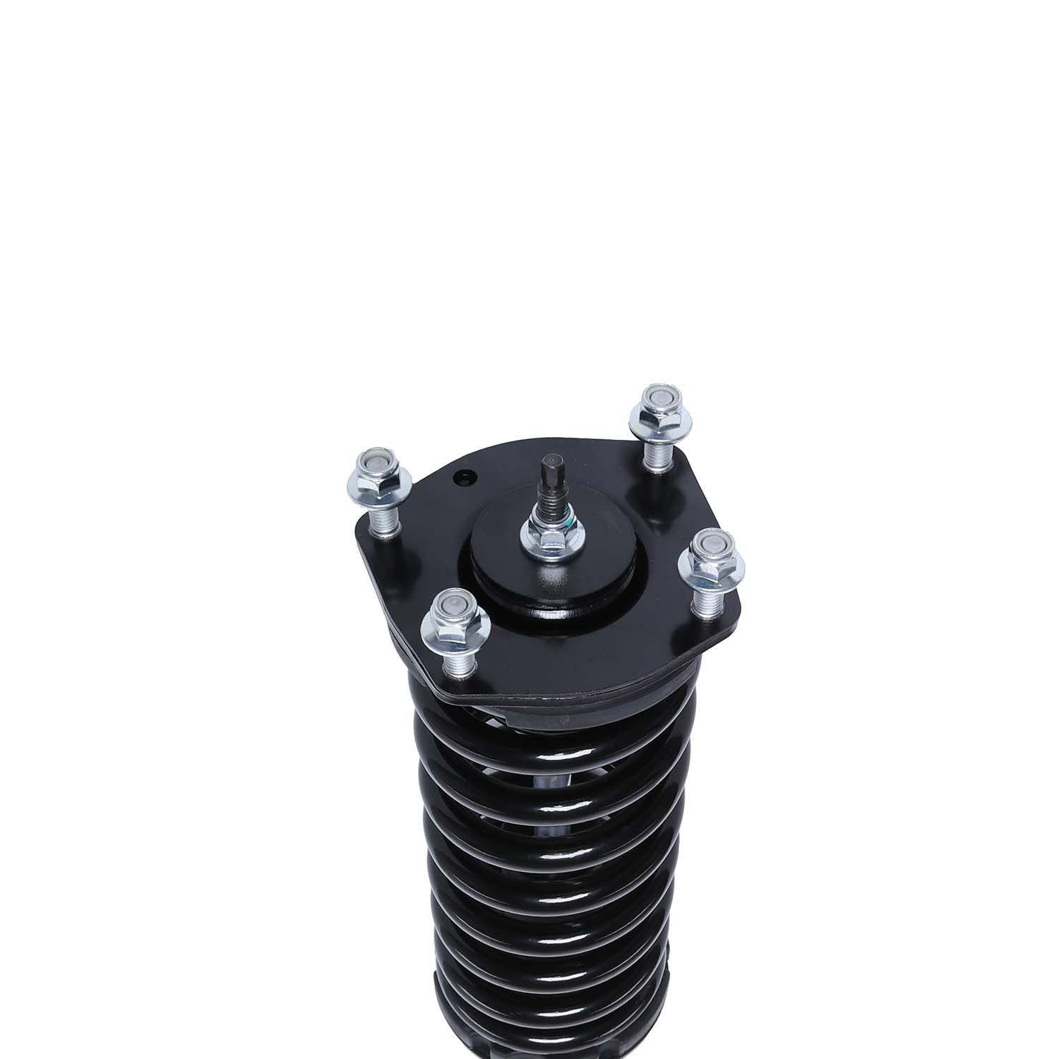 PRT Suspension Strut and Coil Spring Assembly 815058
