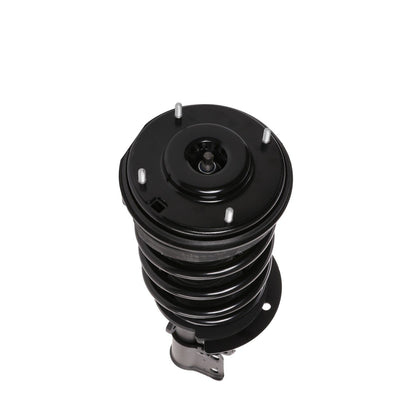 PRT Suspension Strut and Coil Spring Assembly 815187