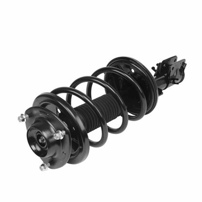 PRT Suspension Strut and Coil Spring Assembly 815211