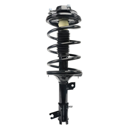 PRT PRT Complete Strut Assembly 815212