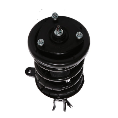 PRT Suspension Strut and Coil Spring Assembly 815213