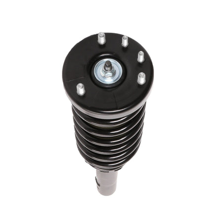 PRT PRT Complete Strut Assembly 815377