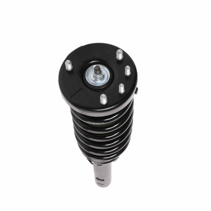 PRT PRT Complete Strut Assembly 815378