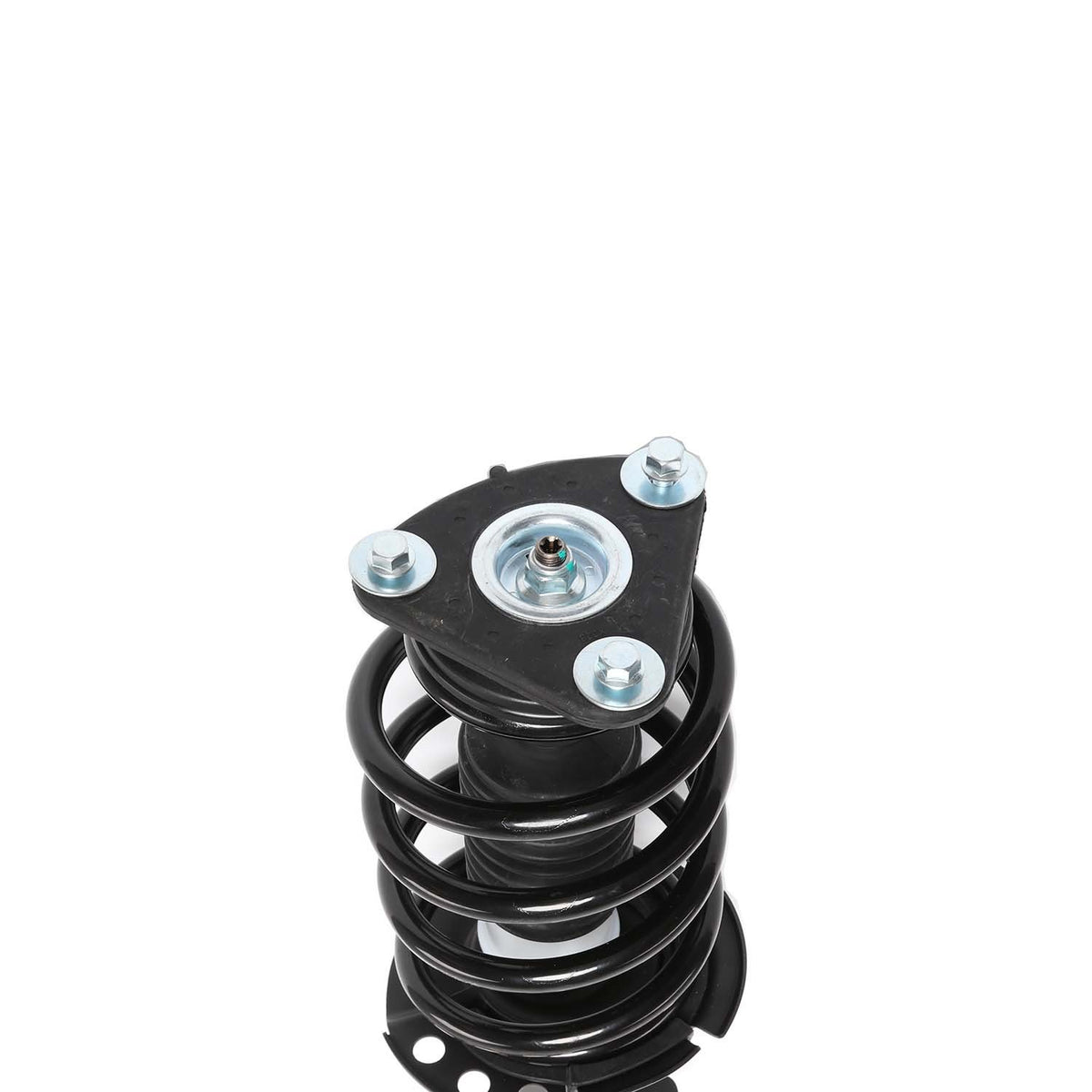 PRT Suspension Strut and Coil Spring Assembly 815382