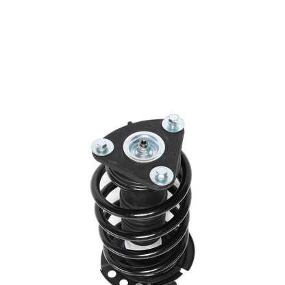 PRT Suspension Strut and Coil Spring Assembly 815382