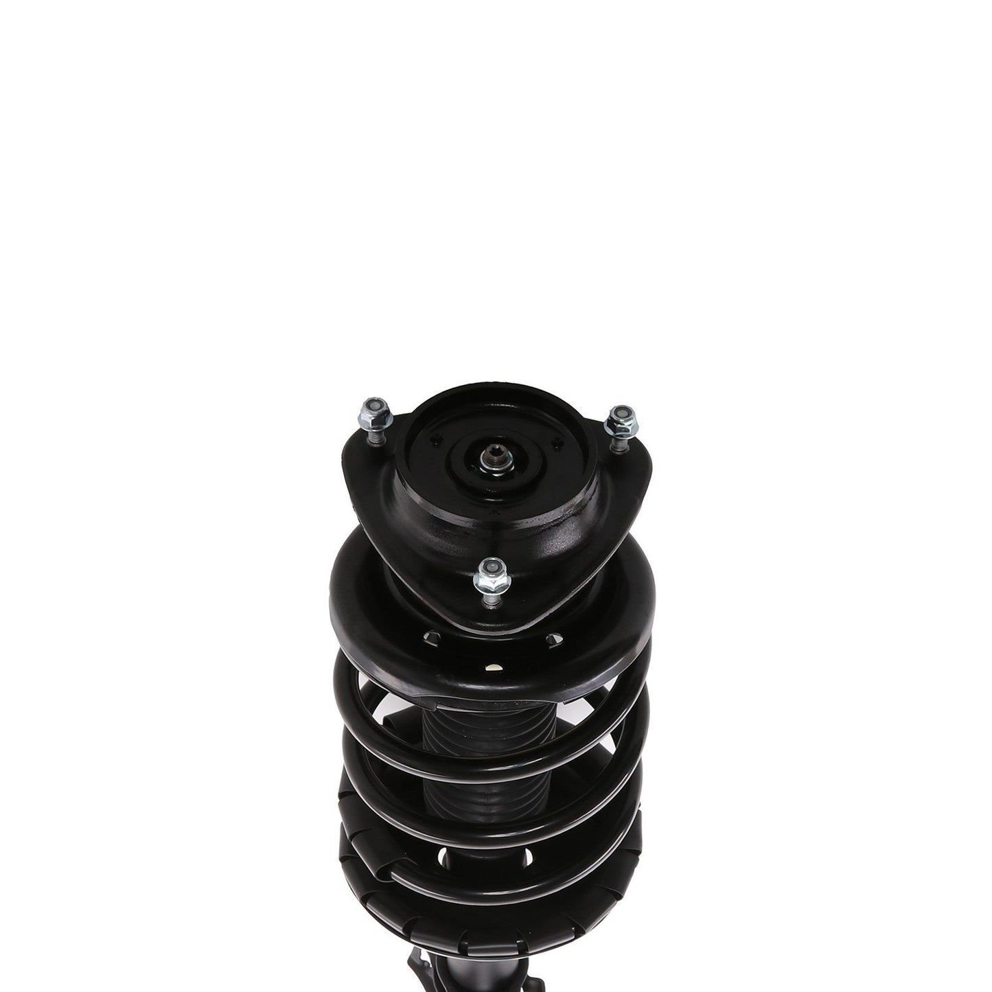 PRT Suspension Strut and Coil Spring Assembly 815841
