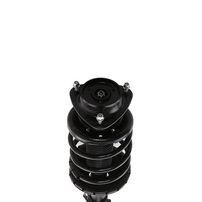 PRT Suspension Strut and Coil Spring Assembly 815841