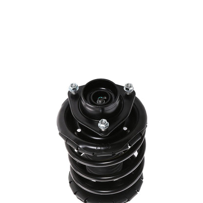 PRT Suspension Strut and Coil Spring Assembly 815881