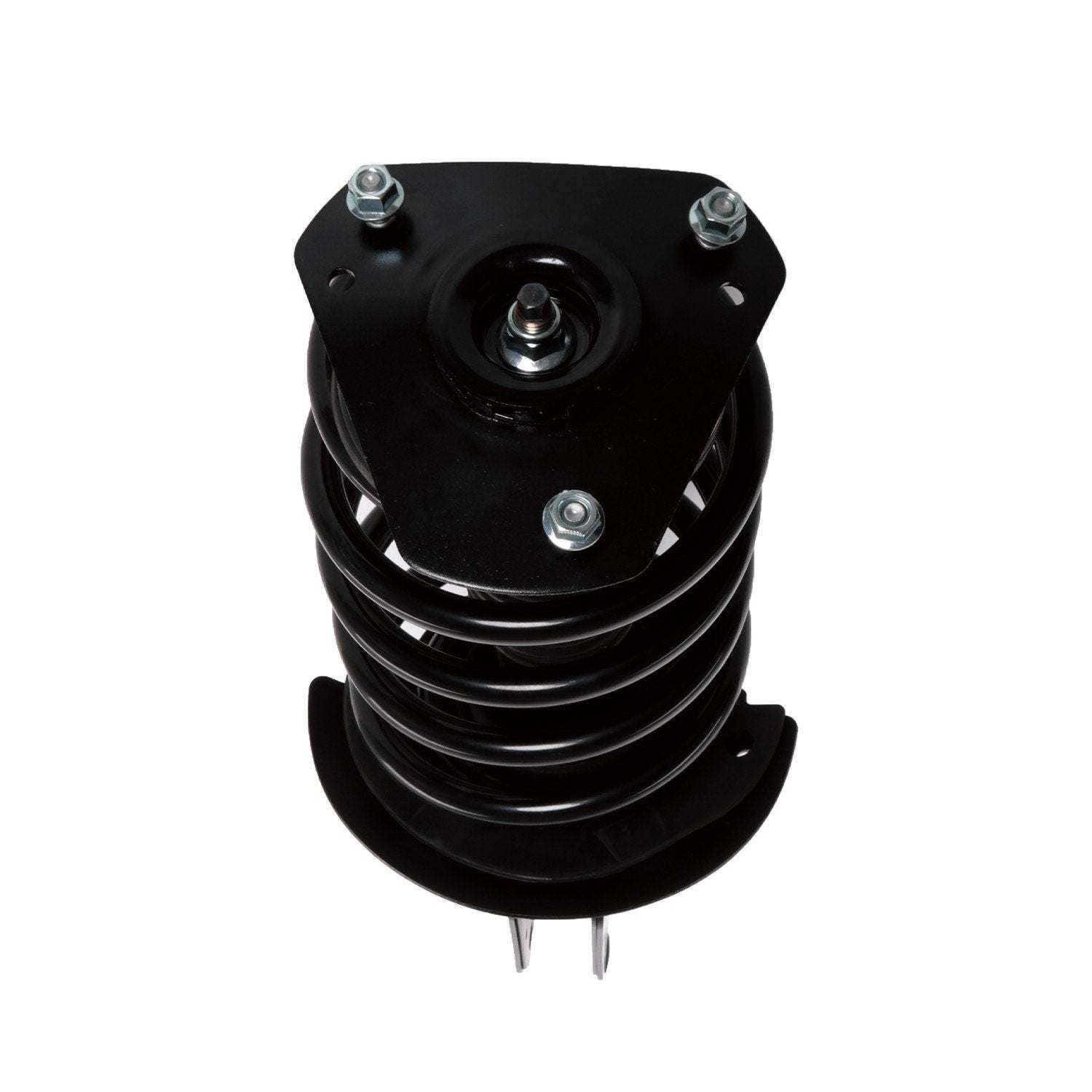 PRT Suspension Strut and Coil Spring Assembly 815907