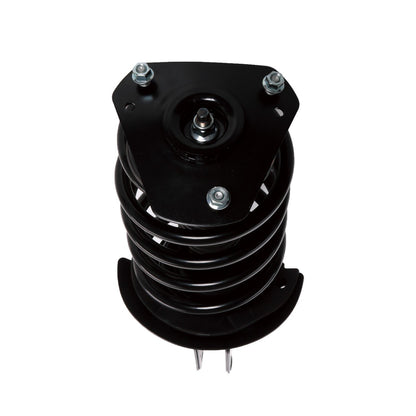 PRT Suspension Strut and Coil Spring Assembly 815907