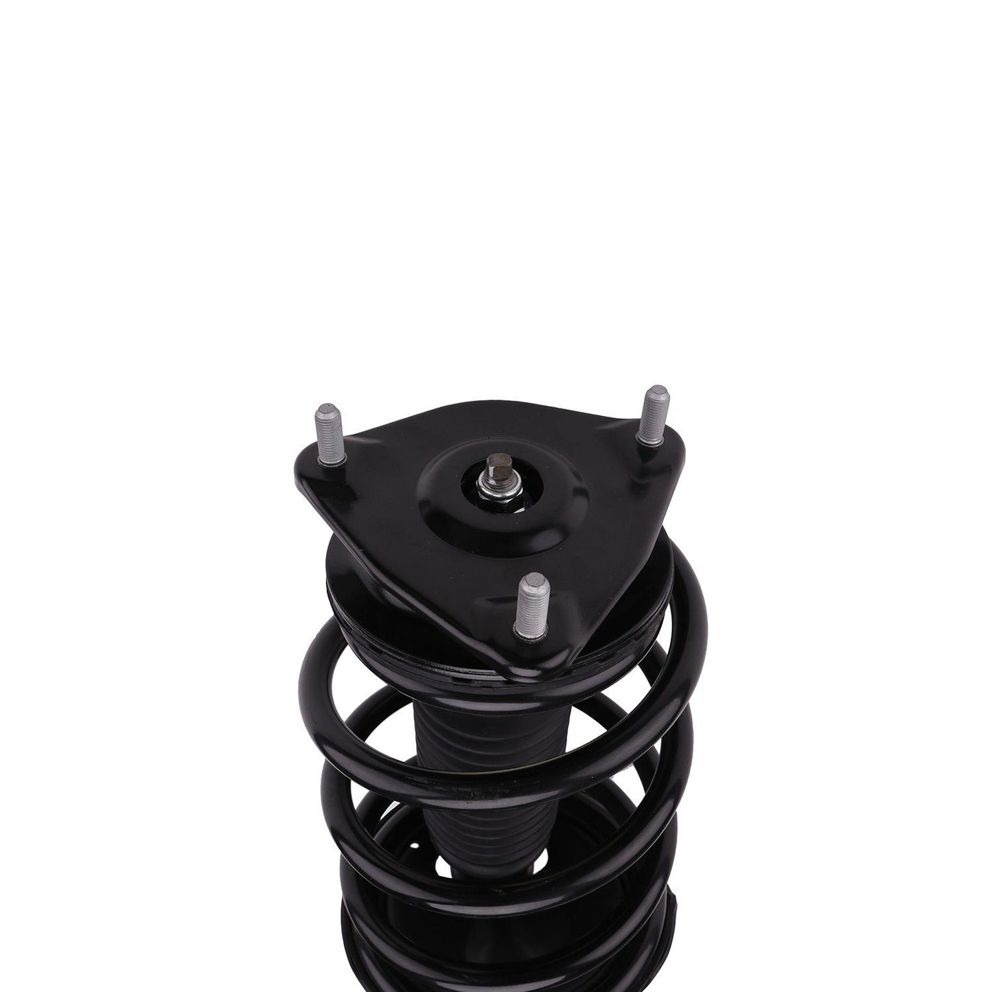 PRT Suspension Strut and Coil Spring Assembly 815913
