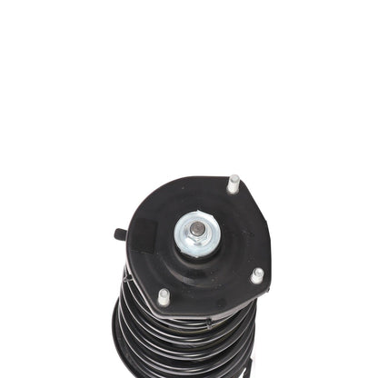 PRT PRT Complete Strut Assembly 815927
