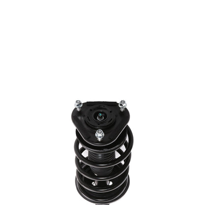 PRT Suspension Strut and Coil Spring Assembly 815940