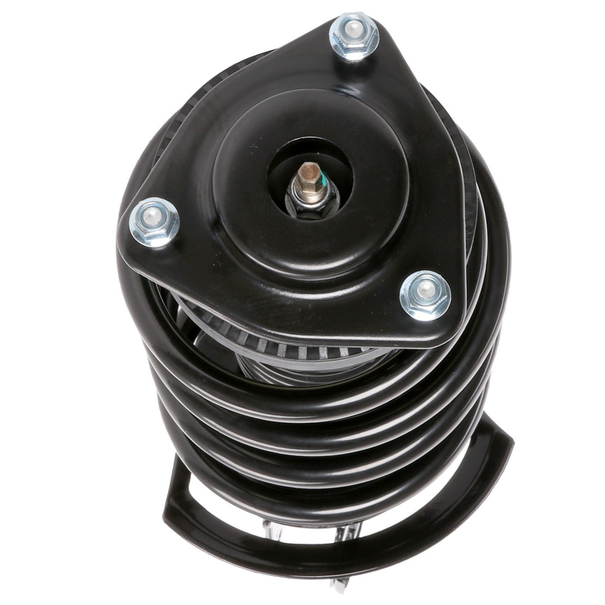 PRT Suspension Strut and Coil Spring Assembly 815967