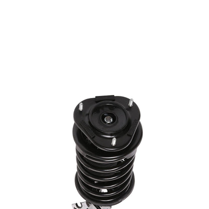 PRT Suspension Strut and Coil Spring Assembly 816058