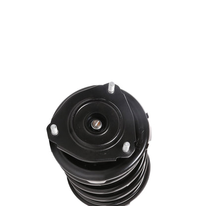 PRT Suspension Strut and Coil Spring Assembly 816085