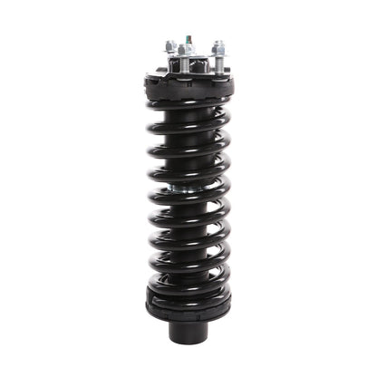 PRT Suspension Strut and Coil Spring Assembly 816225