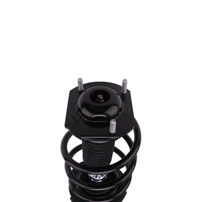 PRT Suspension Strut and Coil Spring Assembly 816343