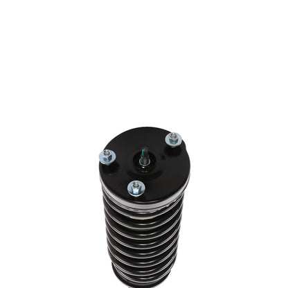 PRT PRT Complete Strut Assembly 816350