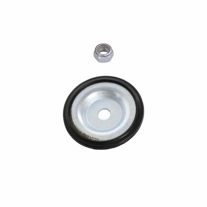 PRT Suspension Strut and Coil Spring Assembly 816545