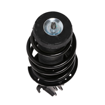 PRT Suspension Strut and Coil Spring Assembly 816545