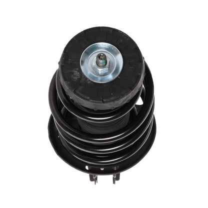PRT Suspension Strut and Coil Spring Assembly 816546