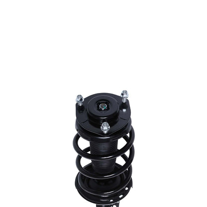PRT Suspension Strut and Coil Spring Assembly 816549