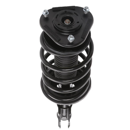 PRT Suspension Strut and Coil Spring Assembly 816631