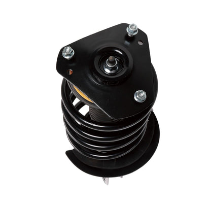 PRT Suspension Strut and Coil Spring Assembly 816639