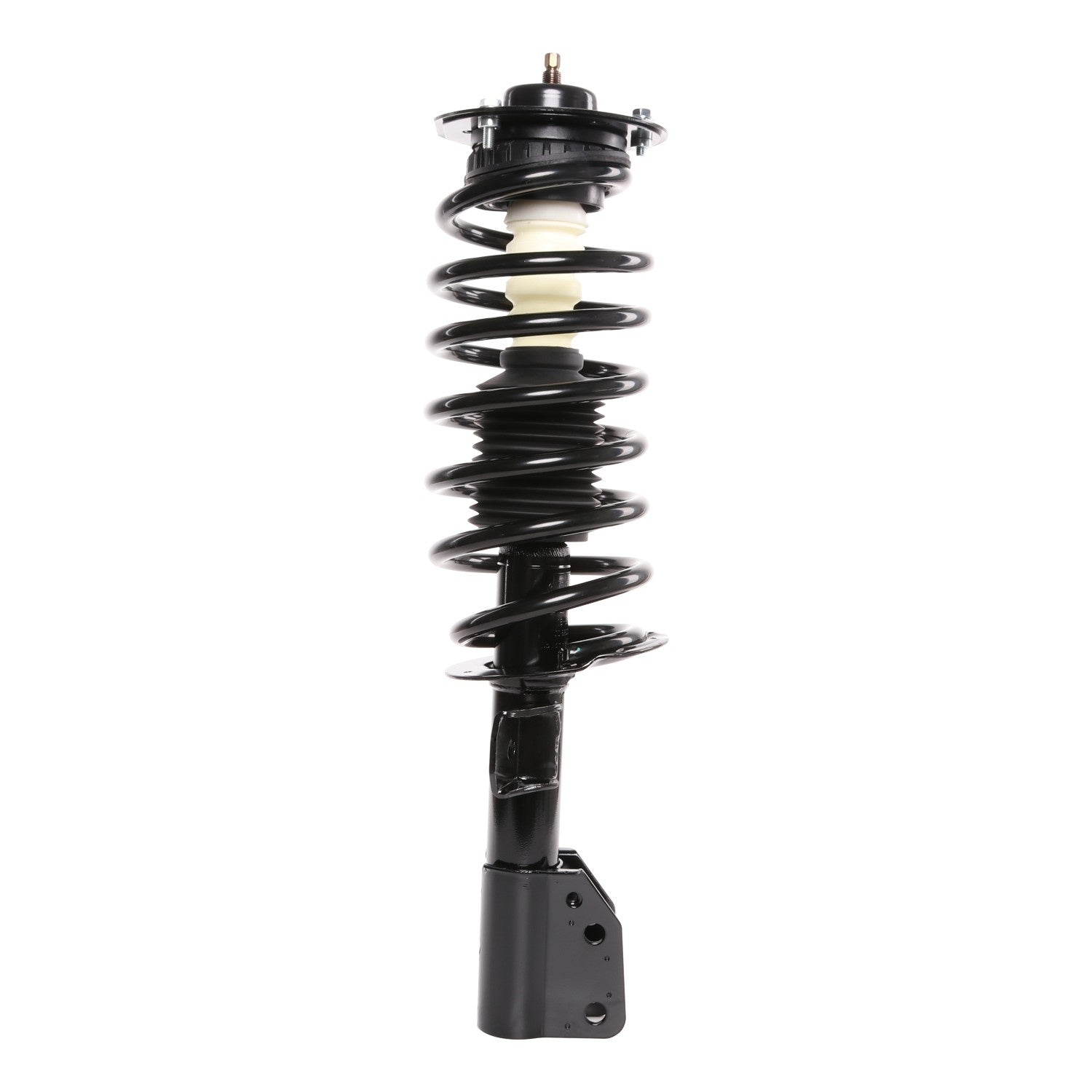 PRT Suspension Strut and Coil Spring Assembly 816651