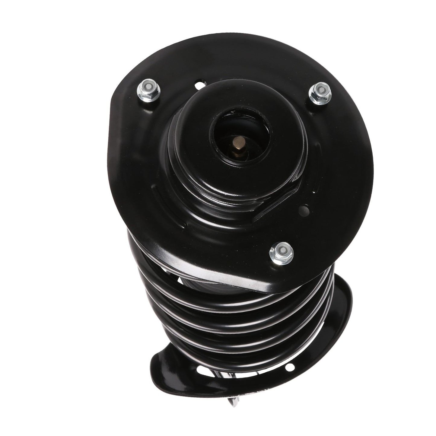 PRT Suspension Strut and Coil Spring Assembly 816653