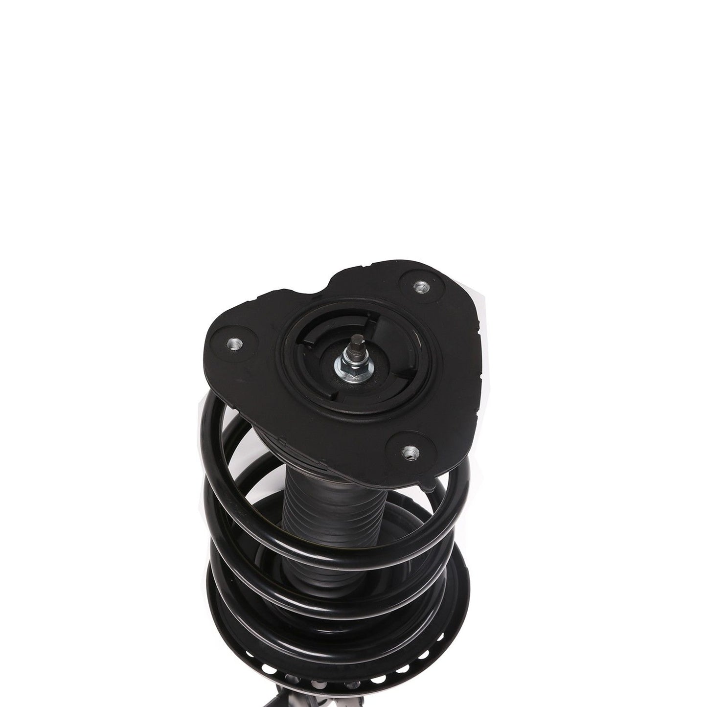 PRT Suspension Strut and Coil Spring Assembly 816948