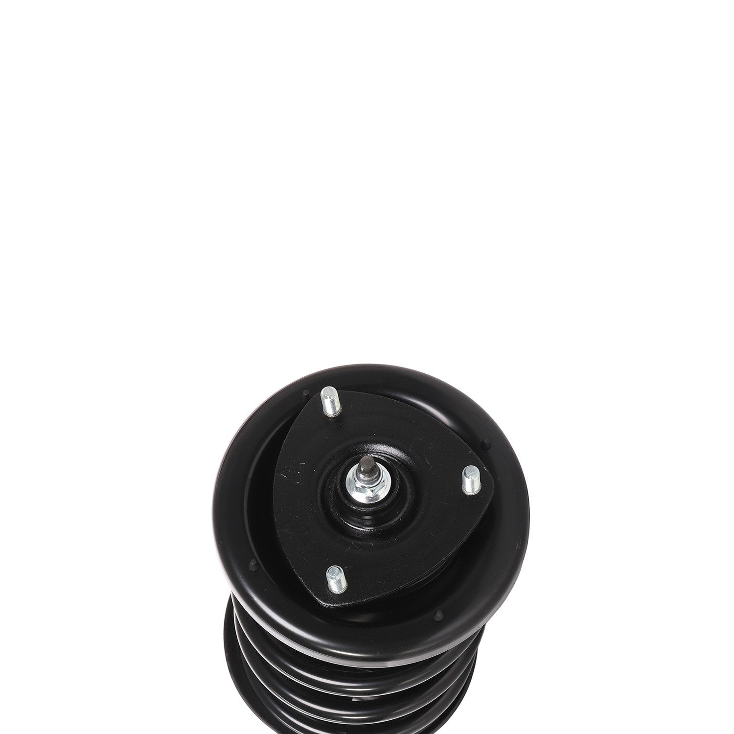 PRT Suspension Strut and Coil Spring Assembly 816949