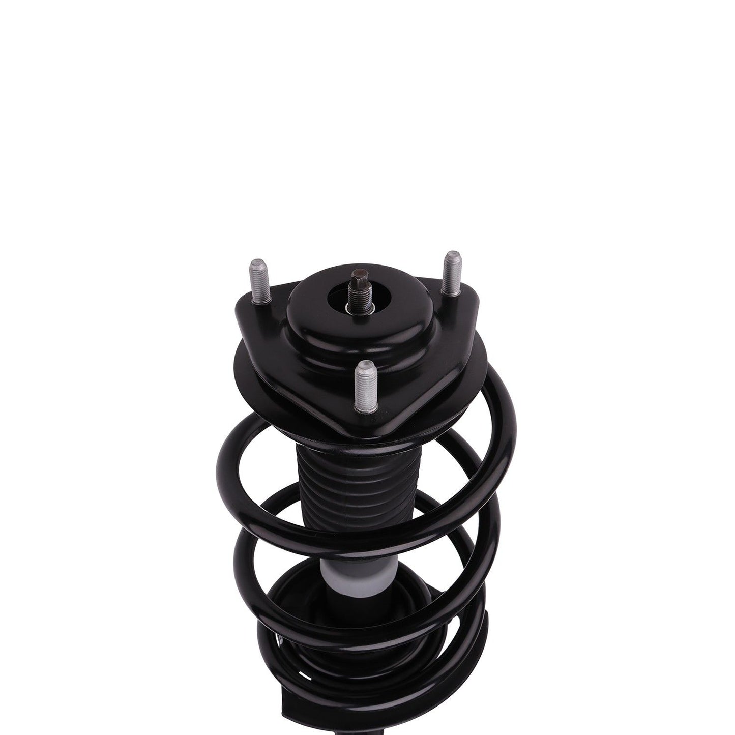 PRT Suspension Strut and Coil Spring Assembly 816955