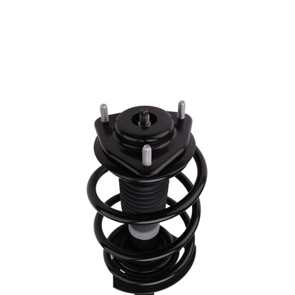 PRT Suspension Strut and Coil Spring Assembly 816955