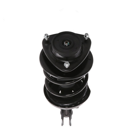 PRT Suspension Strut and Coil Spring Assembly 817025