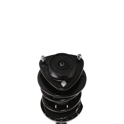 PRT Suspension Strut and Coil Spring Assembly 817026
