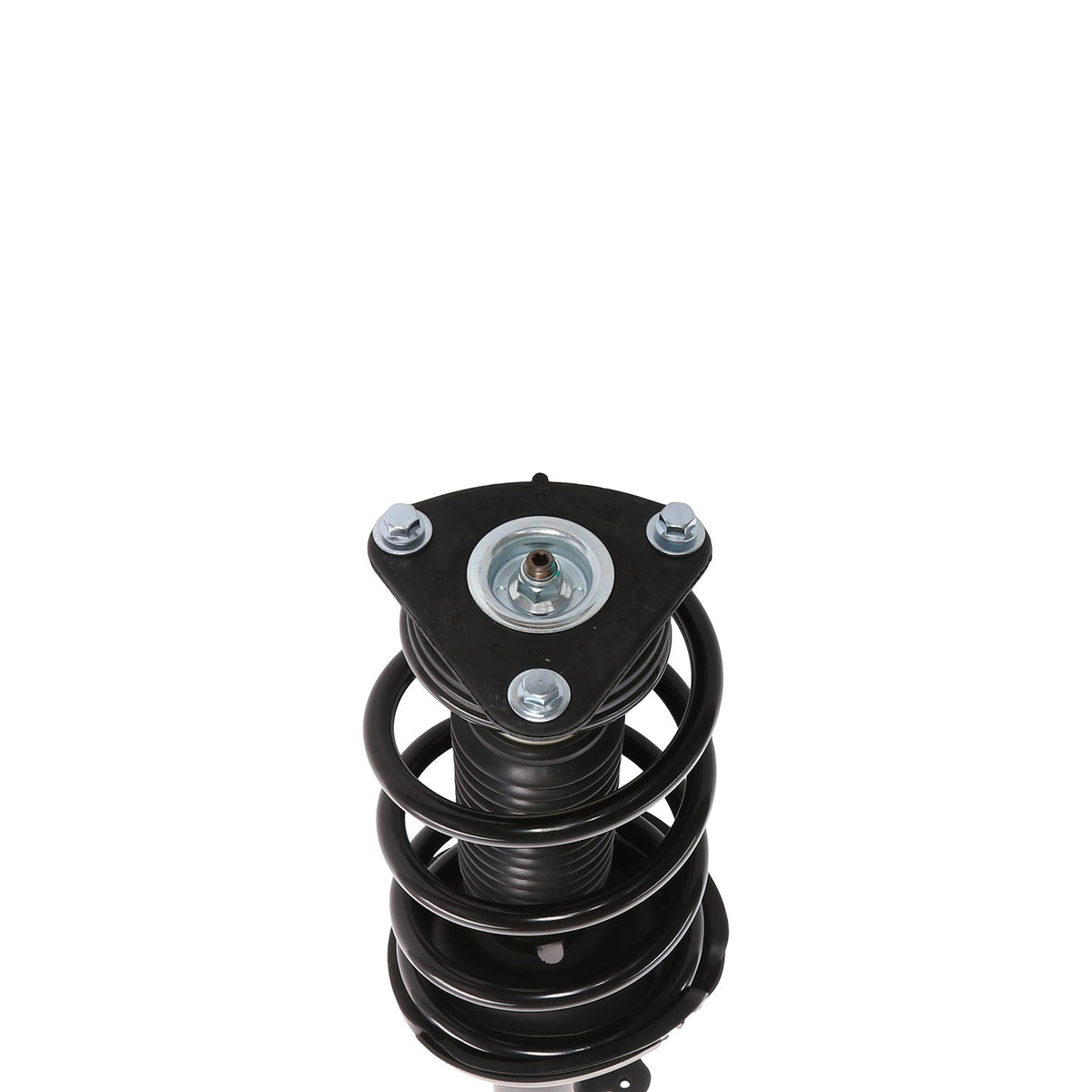 PRT Suspension Strut and Coil Spring Assembly 817041