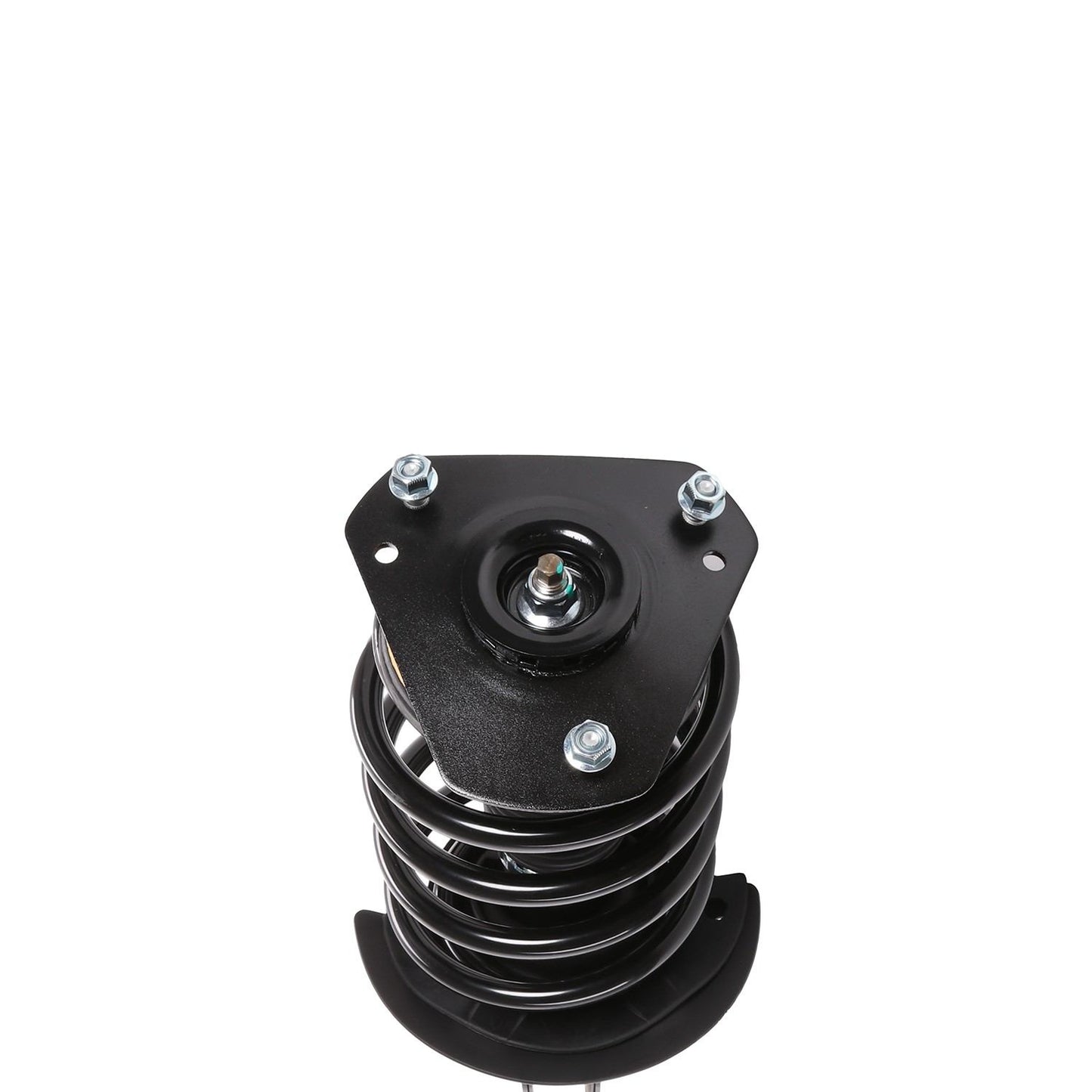 PRT Suspension Strut and Coil Spring Assembly 817059