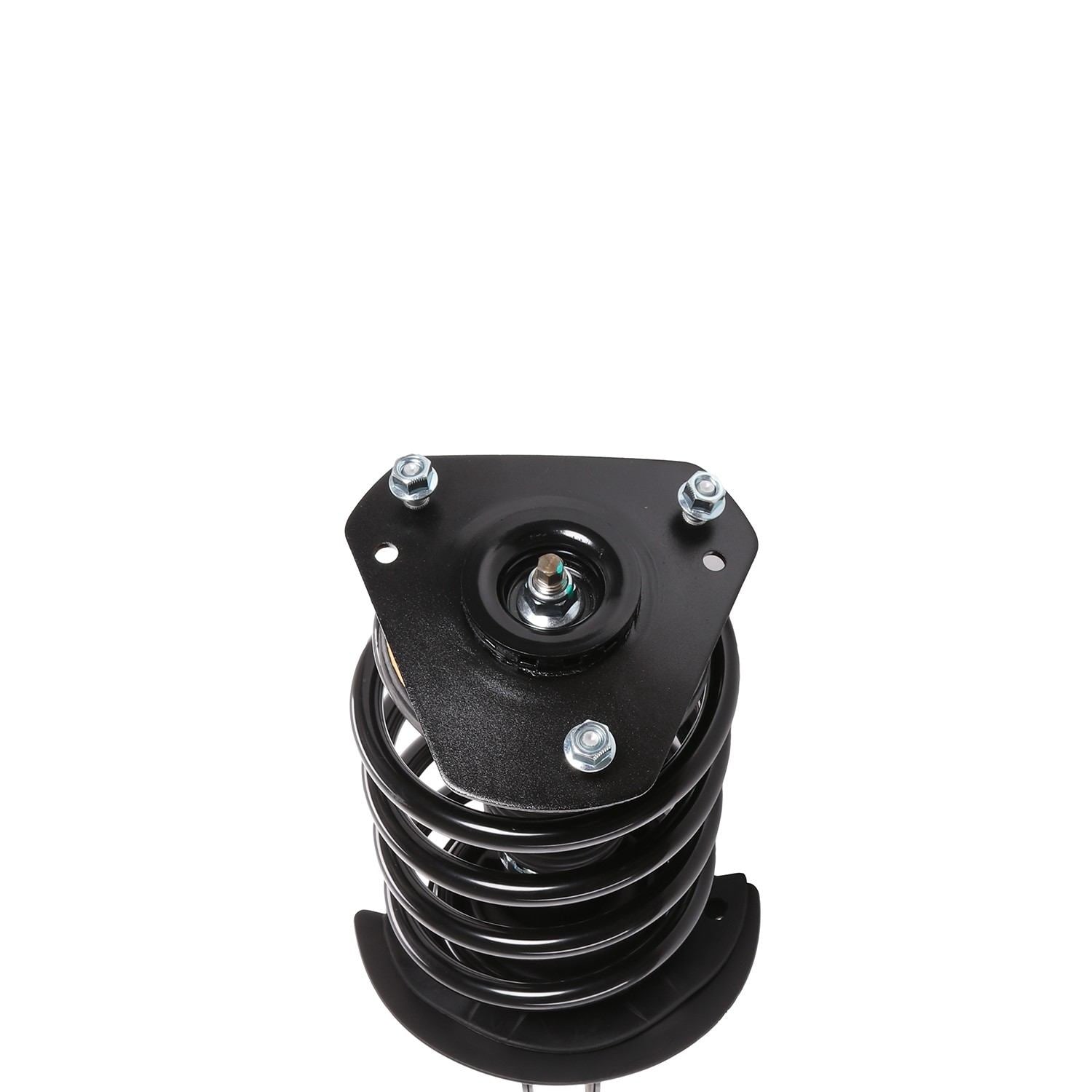 PRT Suspension Strut and Coil Spring Assembly 817059