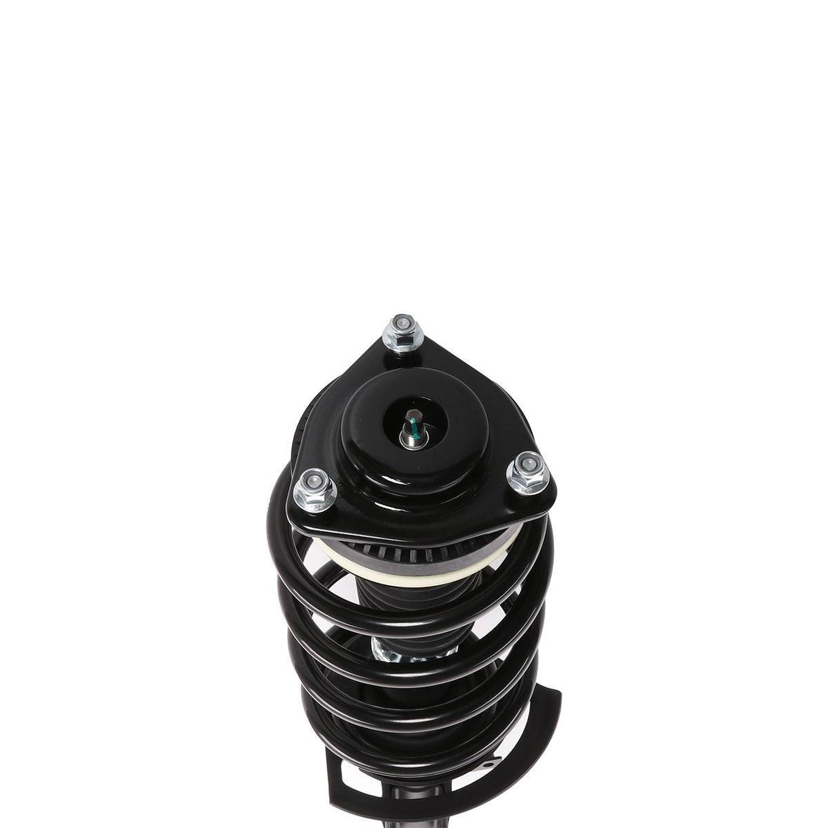 PRT Complete Strut Assembly 817109