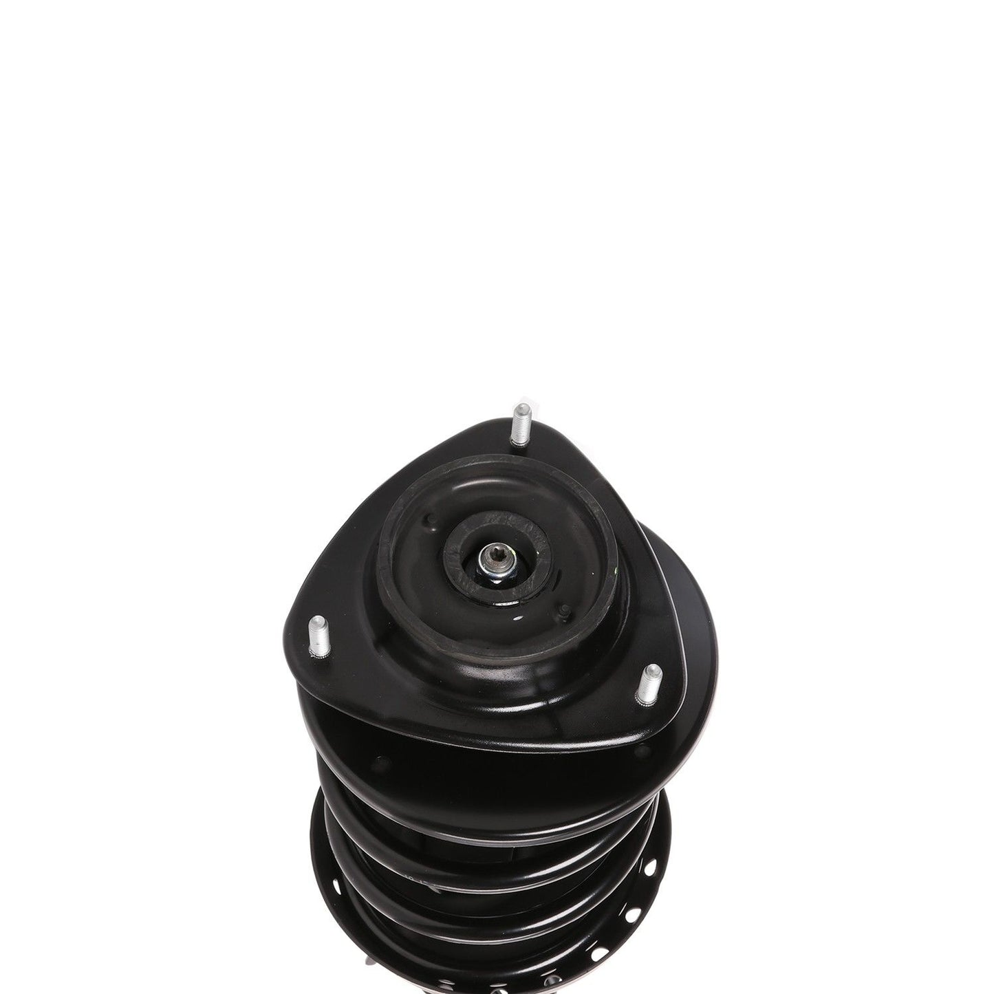 PRT Suspension Strut and Coil Spring Assembly 817111