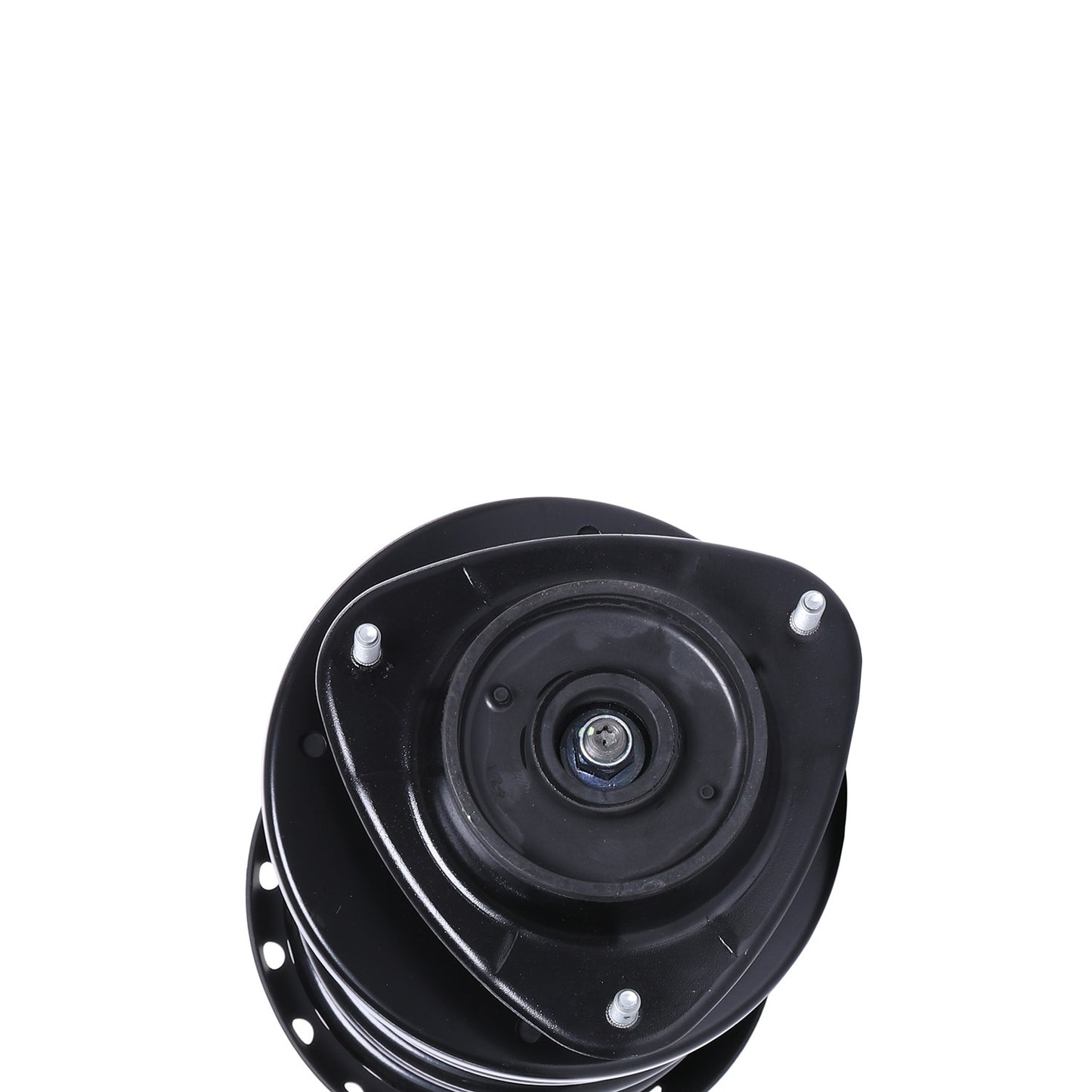 PRT Suspension Strut and Coil Spring Assembly 817131