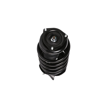 PRT Suspension Strut and Coil Spring Assembly 817245