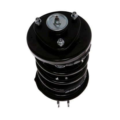 PRT Suspension Strut and Coil Spring Assembly 817247