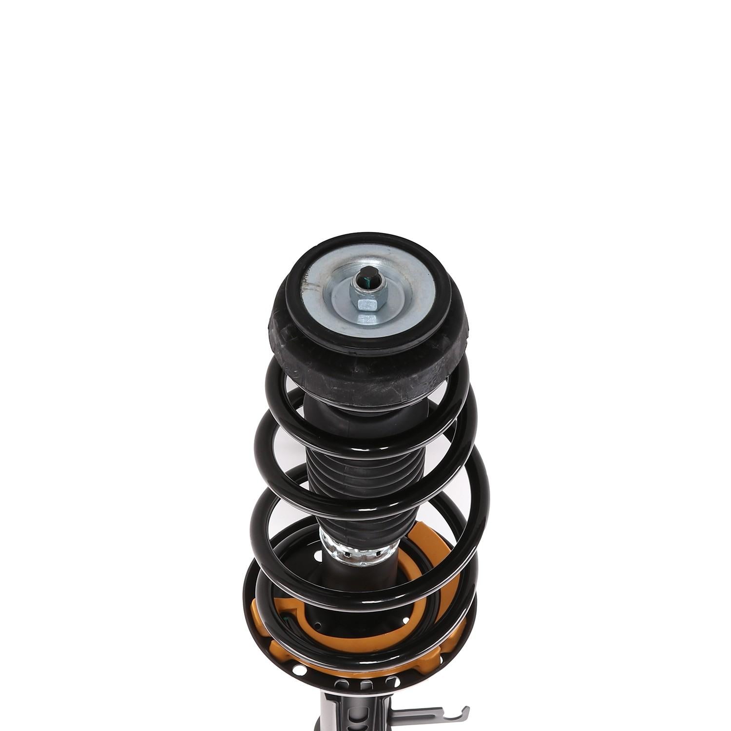 PRT Suspension Strut and Coil Spring Assembly 817488