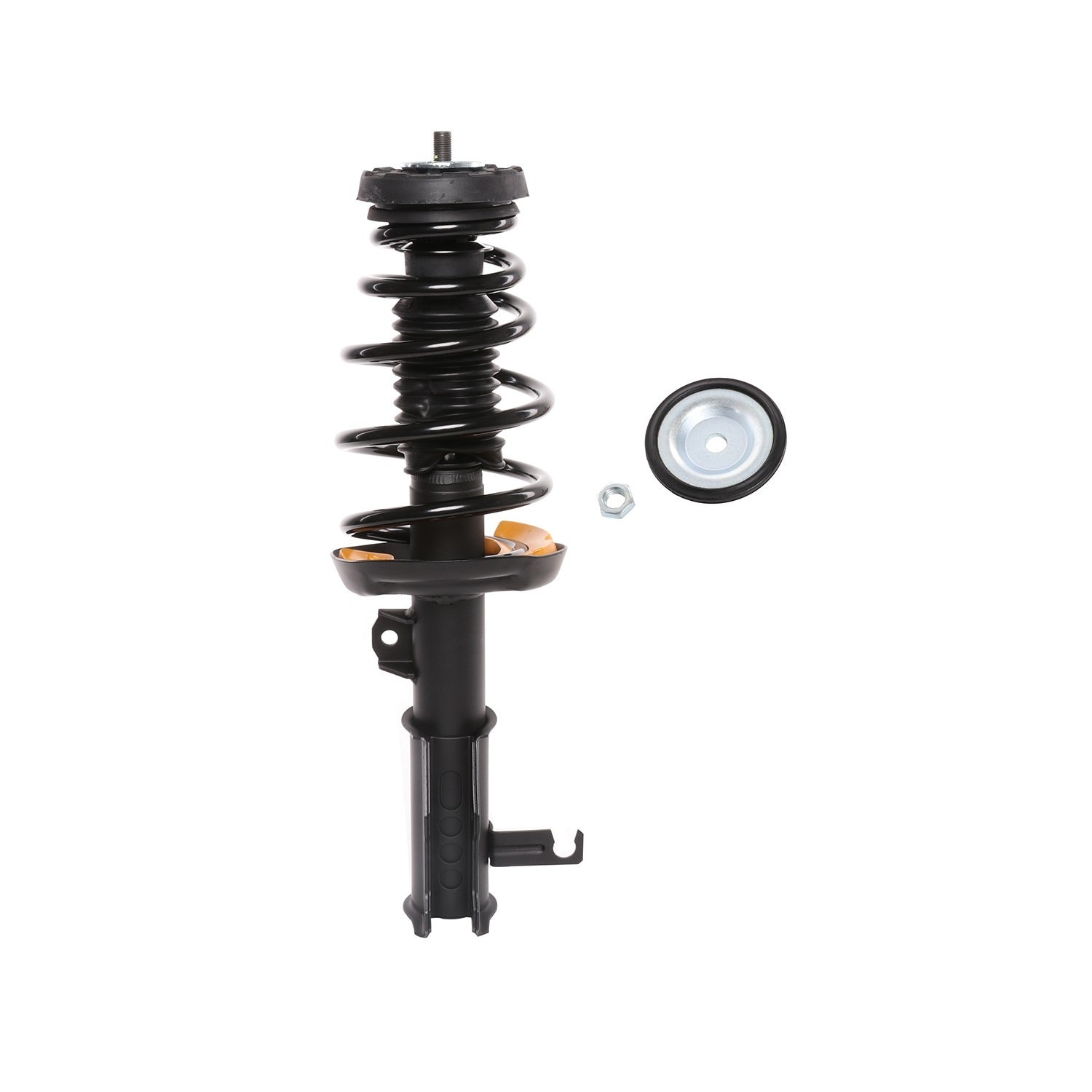 PRT Suspension Strut and Coil Spring Assembly 818031