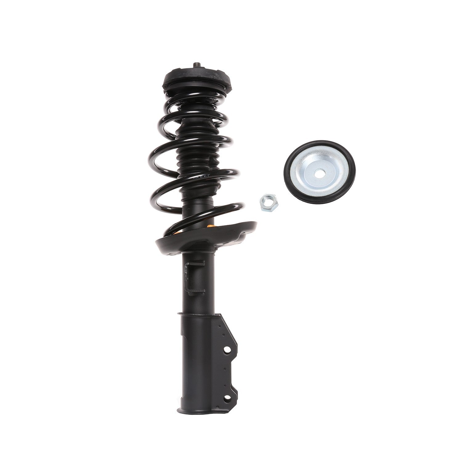 PRT Suspension Strut and Coil Spring Assembly 818031