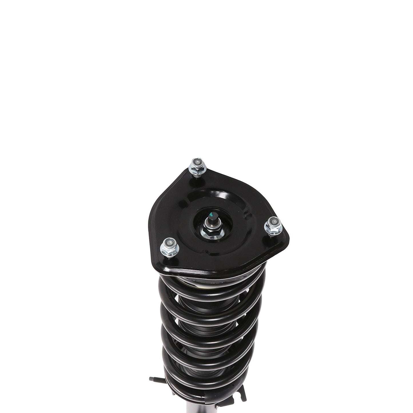 PRT Suspension Strut and Coil Spring Assembly 818181